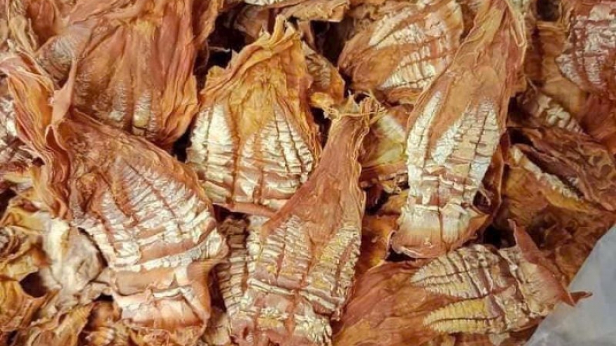 Lấy mẫu kiểm tra mặt hàng măng